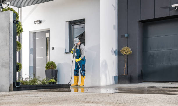 Best Paint Preparation  in Pinconning, MI